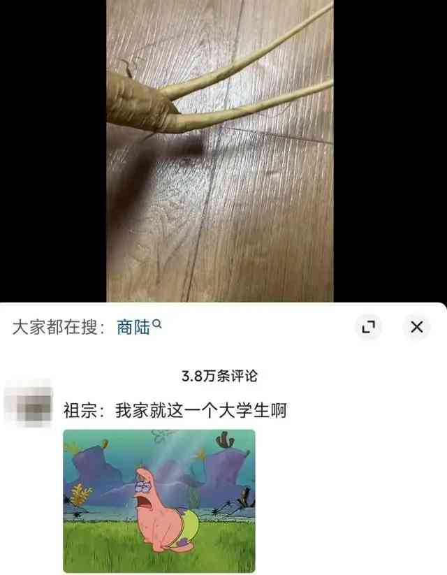 【大学生误食商陆当人参，睡足17小时引发争议】 