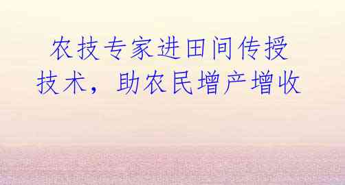  农技专家进田间传授技术，助农民增产增收 