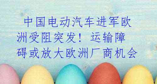 中国电动汽车进军欧洲受阻突发! 运输障碍或放大欧洲厂商机会