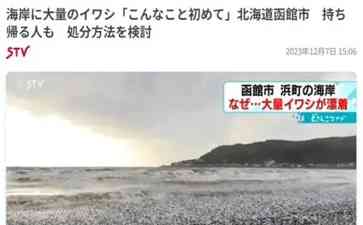 日本海岸突现大批沙丁鱼尸体,原因成谜
