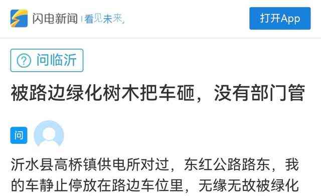 临沂网友投诉车被树砸有结果!