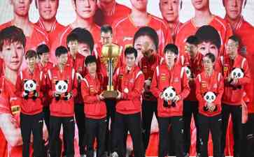 中国乒乓球团队横扫韩国,夺得混合团体世界杯冠军!