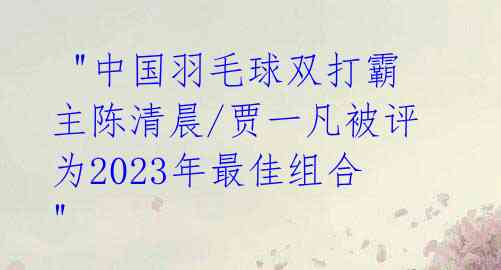 "中国羽毛球双打霸主陈清晨/贾一凡被评为2023年最佳组合"