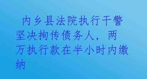  内乡县法院执行干警坚决拘传债务人, 两万执行款在半小时内缴纳 