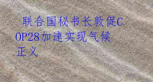联合国秘书长敦促COP28加速实现气候正义