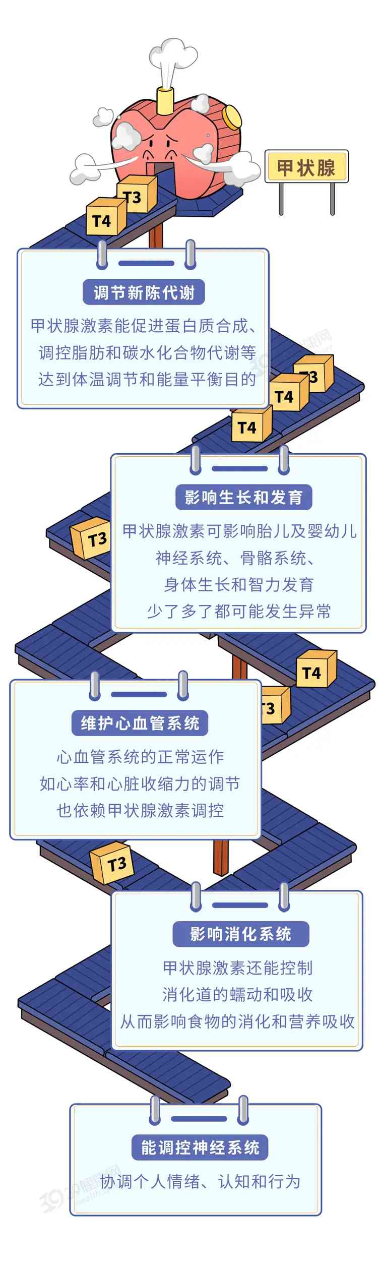  中国科学家在深海发现珍稀生物群 