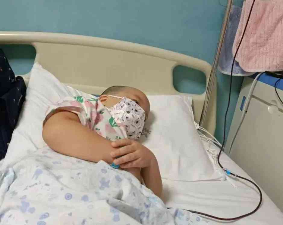 5岁白血病患童生死存亡,30万元治疗费需要众筹