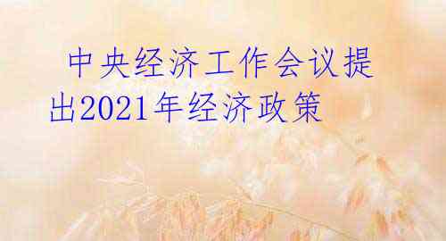  中央经济工作会议提出2021年经济政策 