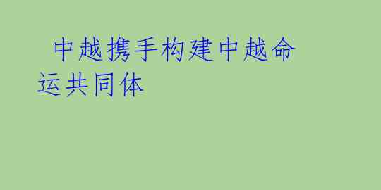 中越携手构建中越命运共同体