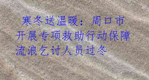 寒冬送温暖:周口市开展专项救助行动保障流浪乞讨人员过冬