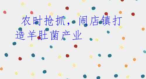 农时抢抓,闹店镇打造羊肚菌产业