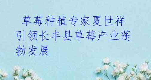 草莓种植专家夏世祥引领长丰县草莓产业蓬勃发展