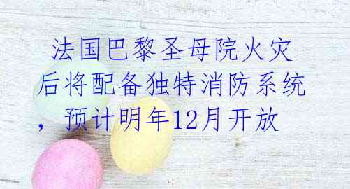 法国巴黎圣母院火灾后将配备独特消防系统,预计明年12月开放