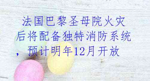  法国巴黎圣母院火灾后将配备独特消防系统，预计明年12月开放 