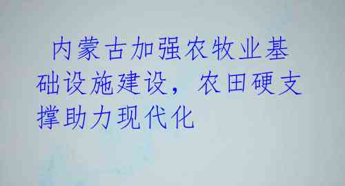 内蒙古加强农牧业基础设施建设,农田硬支撑助力现代化