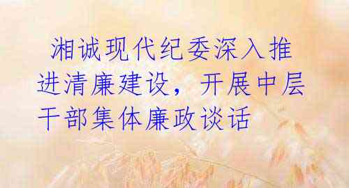 湘诚现代纪委深入推进清廉建设,开展中层干部集体廉政谈话