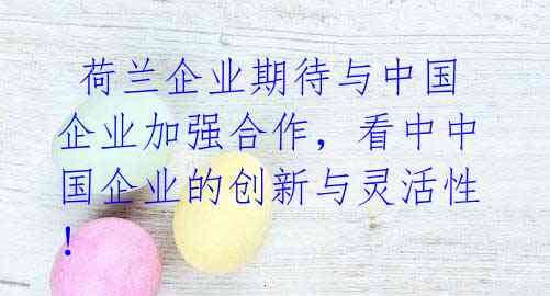  荷兰企业期待与中国企业加强合作，看中中国企业的创新与灵活性！