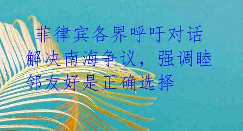  菲律宾各界呼吁对话解决南海争议，强调睦邻友好是正确选择