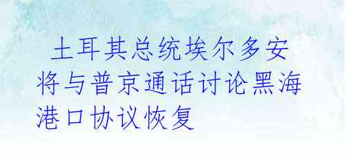  土耳其总统埃尔多安将与普京通话讨论黑海港口协议恢复 