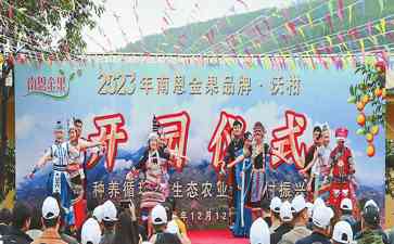 新平沃柑,甜蜜产业盛宴