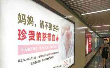 上海脐带血捐献与自存政策解读