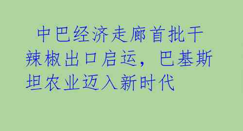  中巴经济走廊首批干辣椒出口启运，巴基斯坦农业迈入新时代 