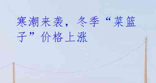 寒潮来袭,冬季“菜篮子”价格上涨