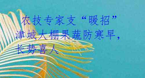 农技专家支“暖招” 津城大棚果蔬防寒早,长势喜人