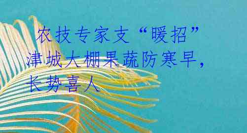  农技专家支“暖招” 津城大棚果蔬防寒早，长势喜人 