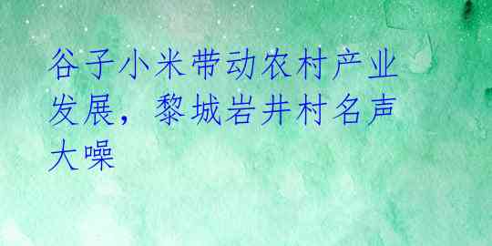 谷子小米带动农村产业发展，黎城岩井村名声大噪 