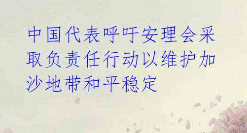 中国代表呼吁安理会采取负责任行动以维护加沙地带和平稳定