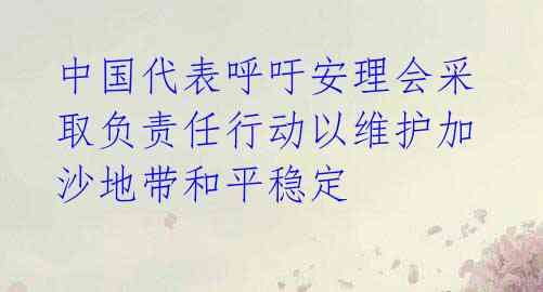 中国代表呼吁安理会采取负责任行动以维护加沙地带和平稳定 