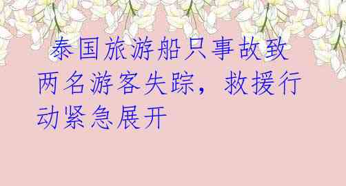 泰国旅游船只事故致两名游客失踪,救援行动紧急展开