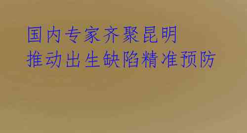 国内专家齐聚昆明 推动出生缺陷精准预防