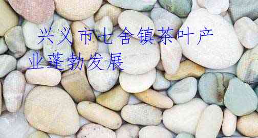 兴义市七舍镇茶叶产业蓬勃发展