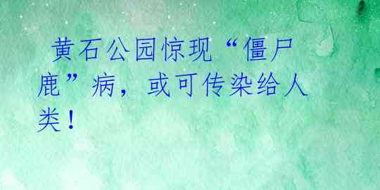黄石公园惊现“僵尸鹿”病,或可传染给人类!