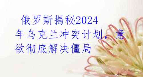  俄罗斯揭秘2024年乌克兰冲突计划，意欲彻底解决僵局