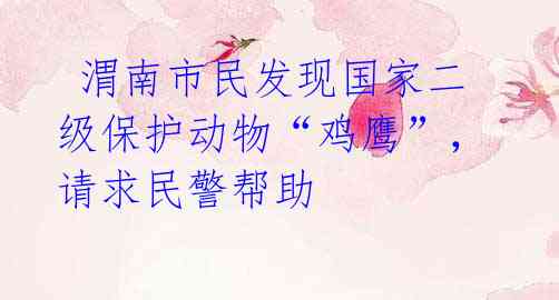 渭南市民发现国家二级保护动物“鸡鹰”,请求民警帮助