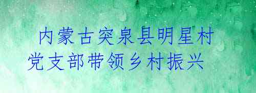内蒙古突泉县明星村党支部带领乡村振兴