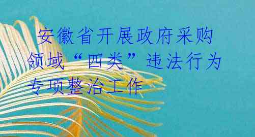 安徽省开展政府采购领域“四类”违法行为专项整治工作
