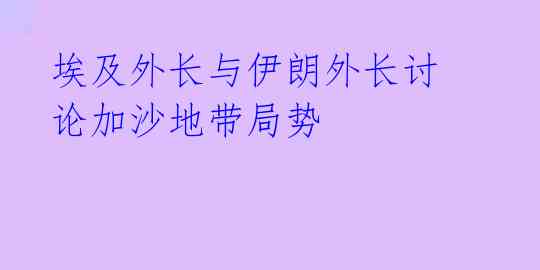 埃及外长与伊朗外长讨论加沙地带局势