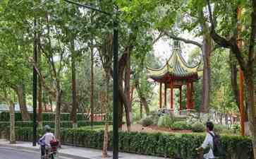 "上海城市绿地开放,市民享受绿色空间盛宴"