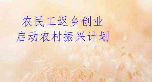 农民工返乡创业 启动农村振兴计划
