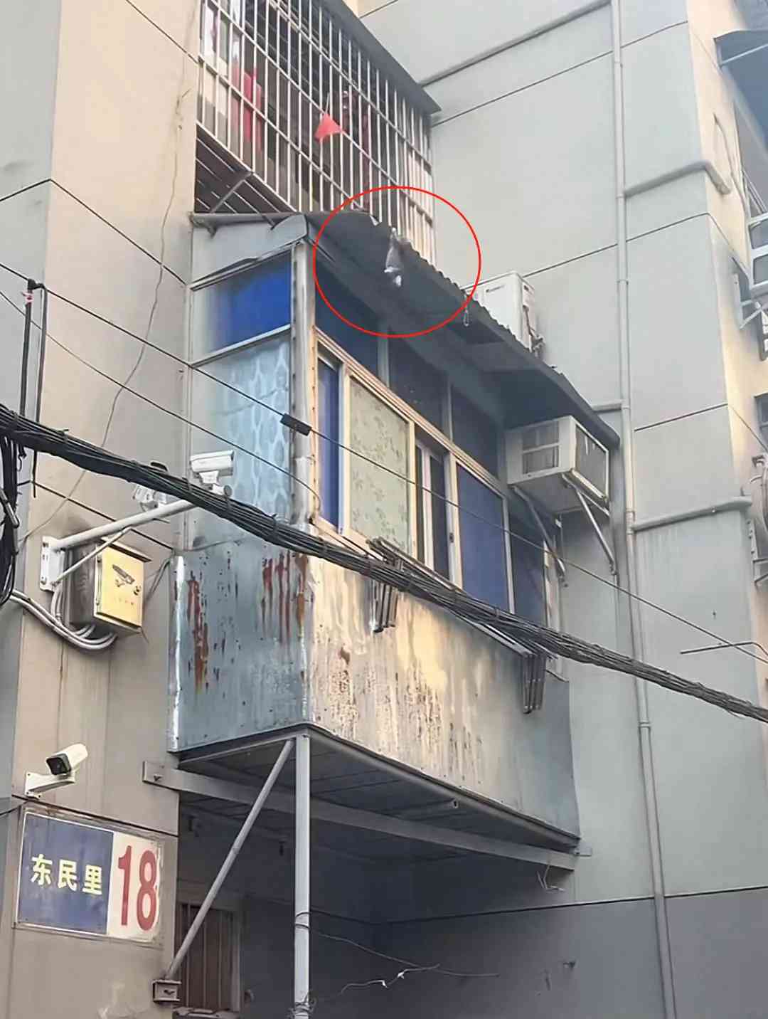 武汉15岁男孩英雄救下坠楼小猫