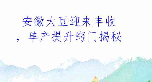  安徽大豆迎来丰收，单产提升窍门揭秘