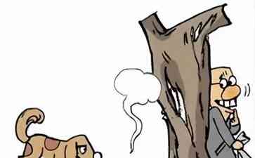 冬季高发!偷狗贼频繁出没,狗狗们小心了!