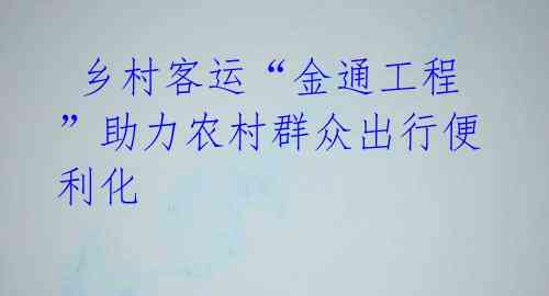 乡村客运“金通工程”助力农村群众出行便利化