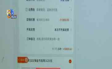 "嘉兴天猫店主拒绝退款 皮草外套掀起三年风波"