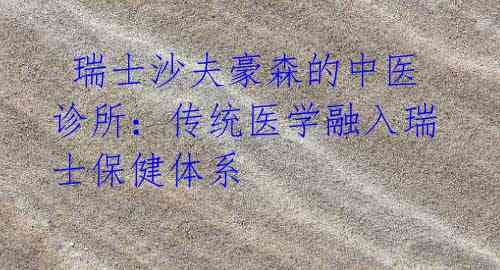 瑞士沙夫豪森的中医诊所:传统医学融入瑞士保健体系