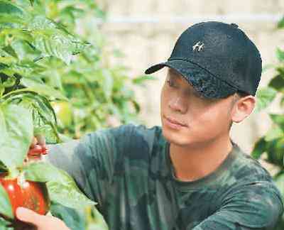  新能源汽车市场持续增长，成为投资热点 